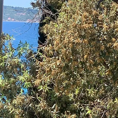 شقة Iva, Bibinje, Zadar